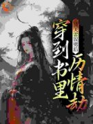 夏晚晚娴妃是哪本小说主角 《被天雷误劈后，穿到书里历情劫》免费全章节阅