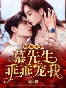 婚从天降：慕先生乖乖宠我安言慕城免费阅读-婚从天降：慕先生乖乖宠我雨沐