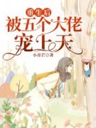 苏沫厉沉息全文最新章节正版小说免费阅读