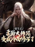 《重生后，柔弱大师兄变成冷面修罗了》江仙叶轻灵全章节目录免费阅读