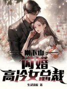 抖音爆款小说《刚下山，闪婚高冷女总裁叶昊苏冰岚》免费txt全文阅读