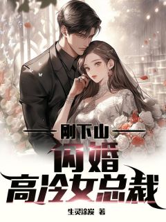 抖音爆款小说《刚下山，闪婚高冷女总裁叶昊苏冰岚》免费txt全文阅读