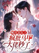 热门小说《癫点怎么了，疯批马甲大佬秒了》完整版全文阅读