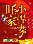 抖音旺家小悍妻小说章节阅读
