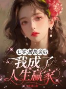 姻缘一换，人生璀璨免费阅读，姻缘一换，人生璀璨江婉陆子豪小说无弹窗阅读