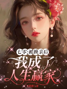 姻缘一换，人生璀璨免费阅读，姻缘一换，人生璀璨江婉陆子豪小说无弹窗阅读