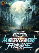 书荒必备王凡林清雪小说