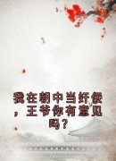《我在朝中当奸佞，王爷你有意见吗？》小说免费阅读 易禾司马瞻大结局完整