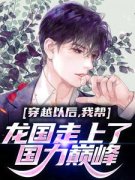 无广告小说穿越以后，我帮龙国走上了国力巅峰-刘畅张威维在线阅读
