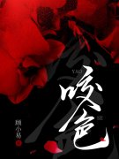疯犬与美人免费阅读，疯犬与美人许禾柠季岫白