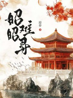 《昭昭难寻》顾禾安燕澈顾凌武-小说未删减阅读