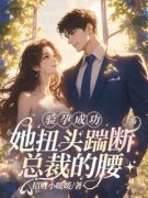 抖音小说验孕成功，她扭头踹断总裁的腰，主角南向晚盛怀郁最后结局小说全文