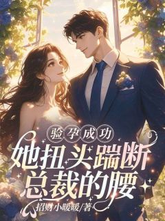 抖音小说验孕成功，她扭头踹断总裁的腰，主角南向晚盛怀郁最后结局小说全文免费