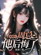 顾明舒周易川沈清小说全章节最新阅读