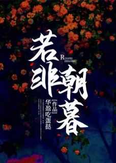 独家若非朝暮全本大结局小说阅读