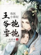 良心推荐毒医小萌妃：王爷，要抱抱！小说试读