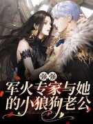 强强：军火专家与她的小狼狗老公小说(完结版)-叶小滢陆正军在线阅读