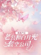 盛夏沈慕白小说最后结局  盛夏沈慕白完结版免费阅读