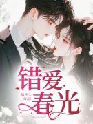 苏亦辰江婉结局是什么 苏亦辰江婉免费阅读全文