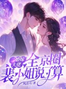 小说推荐《二婚嫁大佬，全京圈裴小姐说了算》完结版全章节阅读
