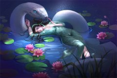穿书后，我开局为反派皇帝挡箭主角苏星禾小说无删减版在线阅读