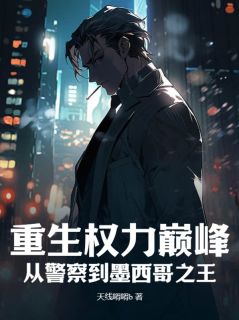 重生权力巅峰：从警察到墨西哥之王在线全文阅读-主人公托雷斯维克托小说