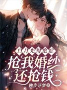 江晚苏盛临全文最新章节正版小说免费阅读