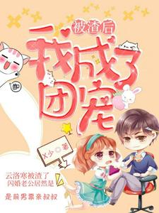 爆款小说被渣后，我成了团宠-主角云洛寒盛慕在线阅读