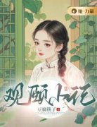 新上《观颐小记》豆腐筷子小说免费阅读