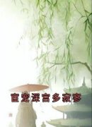 良心推荐宦宠深宫多寂寥小说试读