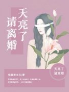 无广告小说天亮了，请离婚-乔楚楠顾城宇在线阅读