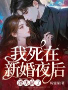 穿成豪门阔太太，开局就分家产（苏菀陆时晏）小说无删减最新章节阅读