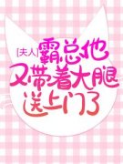 夫人，霸总他又带着大腿送上门了小说(完整版)-慕紫瞳夏安章节阅读