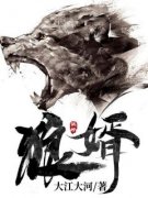 (精品)狼婿小说