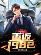 重返1982小说的书名是什么