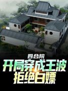 王波雨水小说《四合院：开局穿成王波，拒绝白嫖》免费阅读