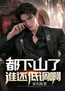 《都下山了谁还低调啊》林枫李素雪小说完整在线阅读
