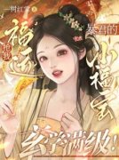 抢我福运？暴君的小福宝玄学满级！(圆圆青阳)全文完整版阅读