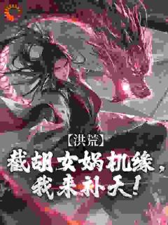 叶祟仁弇兹氏小说结局