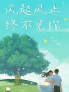 风起风止终不见你在哪免费看，季时安吟月小说章节目录阅读