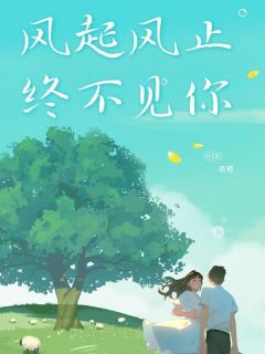 风起风止终不见你在哪免费看，季时安吟月小说章节目录阅读