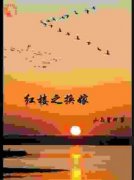 红楼之换嫁全文目录-贾敏贾妍小说无弹窗阅读