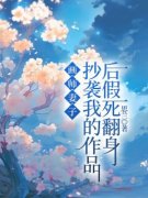 思兰的小说《画师妻子抄袭我的作品后假死翻身》主角是圆圆