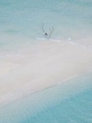 疯狂土豆写的小说鬼母的复仇在线阅读