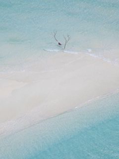 疯狂土豆写的小说鬼母的复仇在线阅读