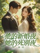 他的新婚夜，她的死别夜(洛三)最佳创作小说全文在线阅读