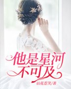 快手他是星河不可及小说全本章节大结局