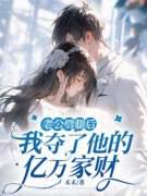 老公劈腿后，我夺了他的亿万家财小说-沈从心段宴苏樱全篇阅读