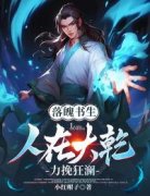 (抖音小说)李子书沈幼娘小说全文阅读免费