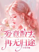 爱意散去再无归途姜年姜沉舟小说，爱意散去再无归途在线章节试读